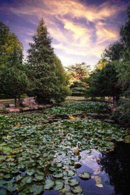 Прикрепленное изображение: IMG_8849.jpg